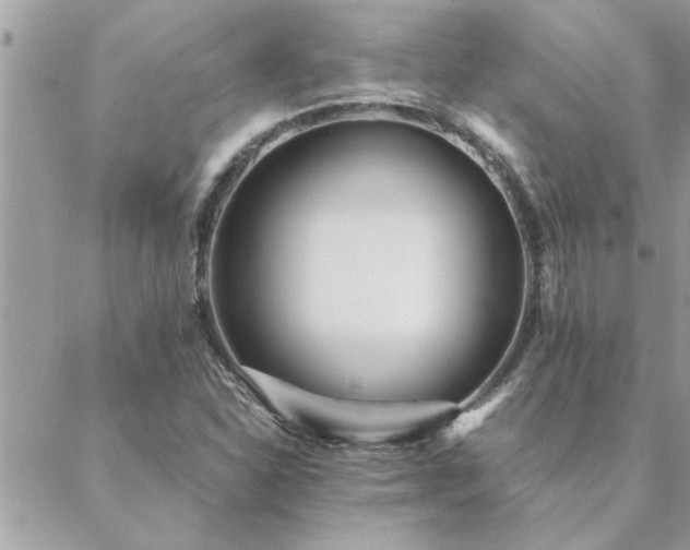 X0000088581310200706011103