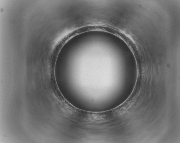 X0000088581311200706011103