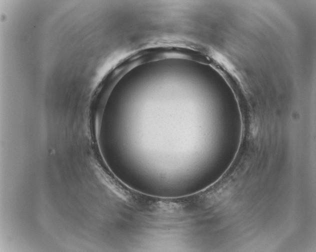 X0000088581312200706011103