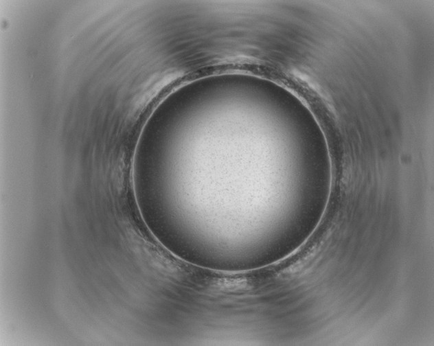 X0000088581313200706011103