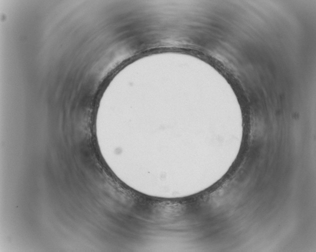 X0000088581314200706011103