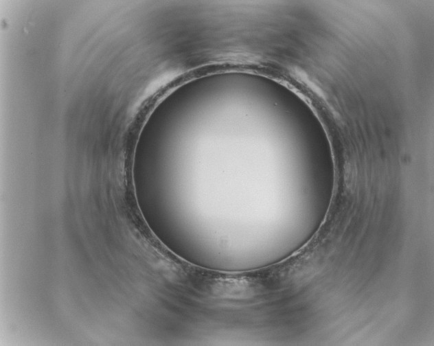 X0000088581315200706011103