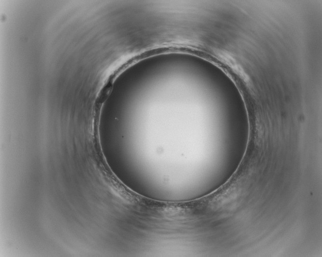 X0000088581316200706011103