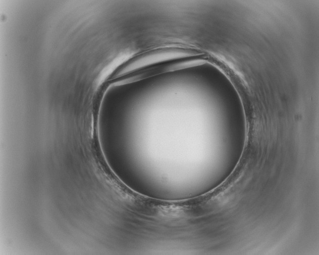 X0000088581317200706011103