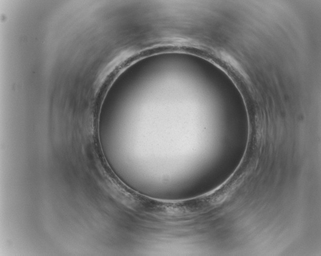 X0000088581318200706011103