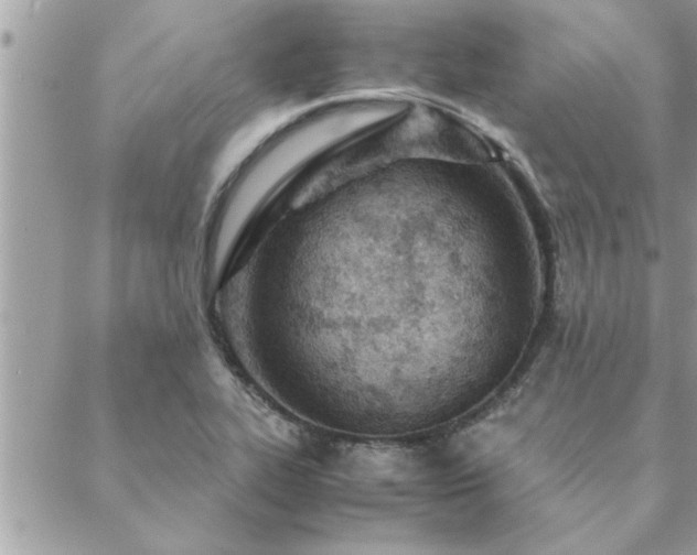 X0000088581319200706011103