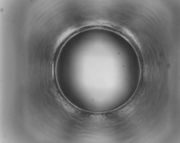 X0000088581320200706011103