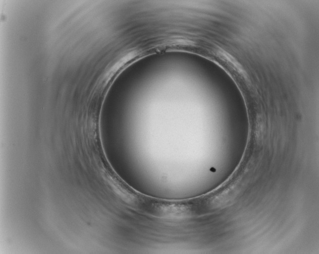 X0000088581321200706011103