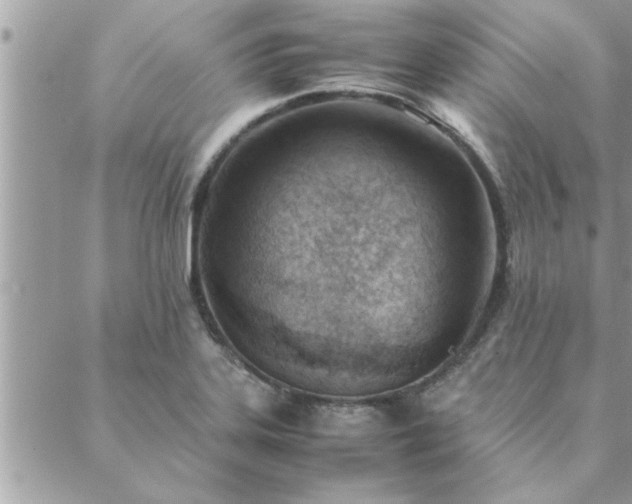 X0000088581323200706011103