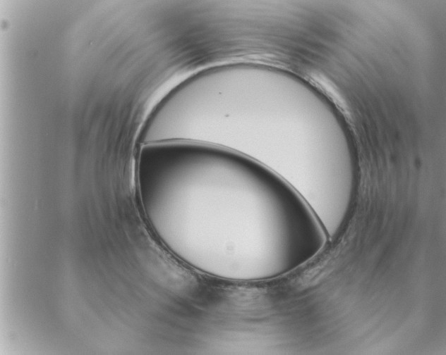 X0000088581324200706011103