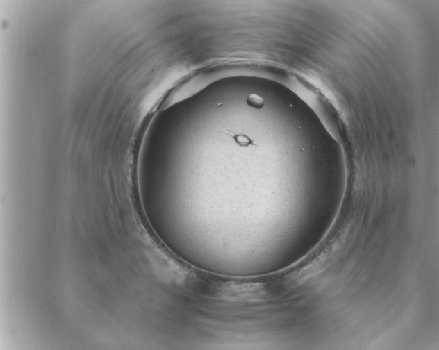 X0000088581325200706011103