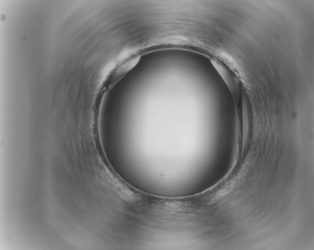 X0000088581326200706011103