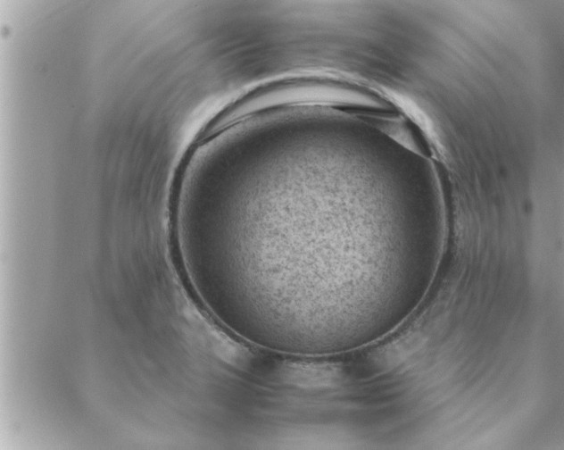 X0000088581327200706011103