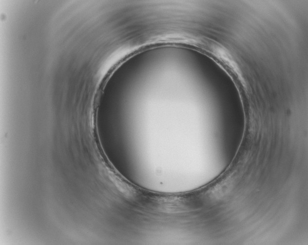 X0000088581328200706011103