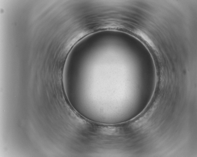 X0000088581329200706011103