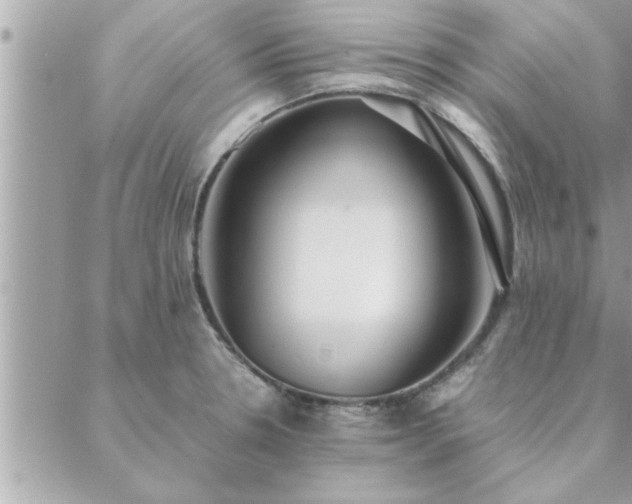 X0000088581330200706011103