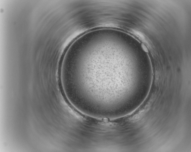 X0000088581331200706011103