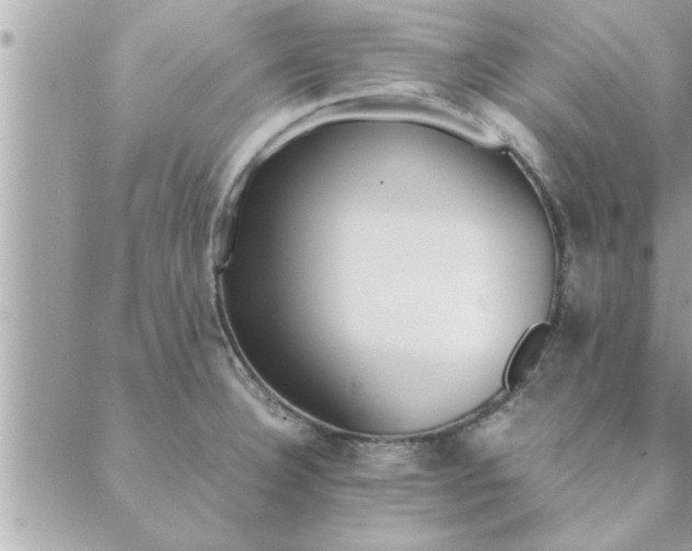 X0000088581332200706011103