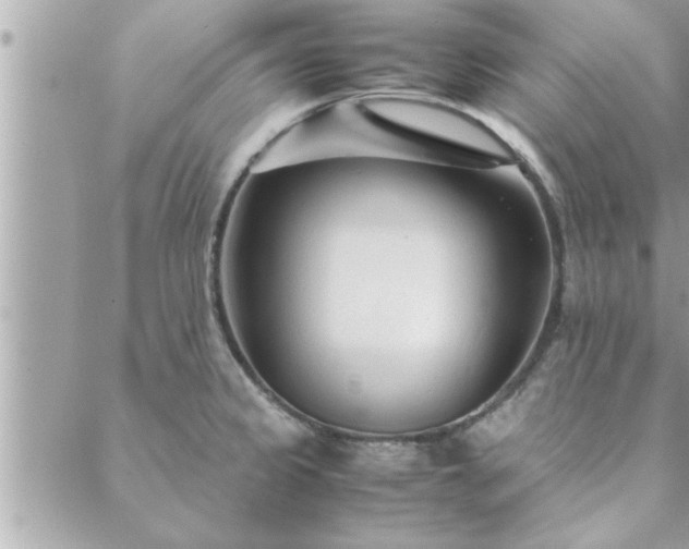 X0000088581333200706011103