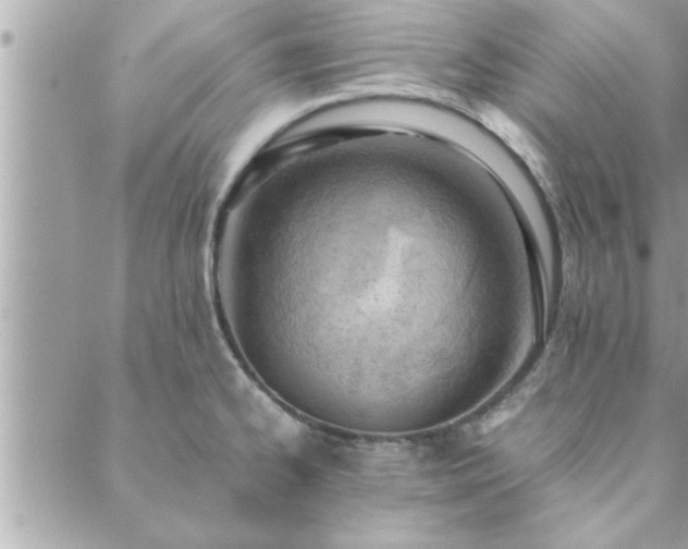 X0000088581334200706011103