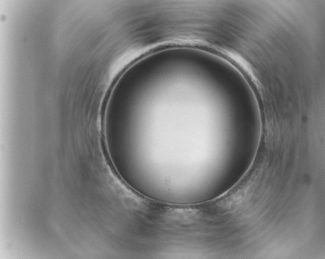 X0000088581335200706011103