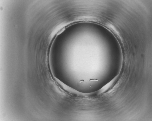 X0000088581336200706011103