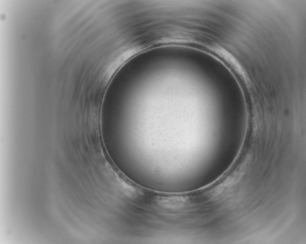 X0000088581337200706011103