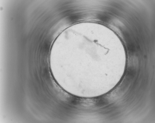 X0000088581338200706011103