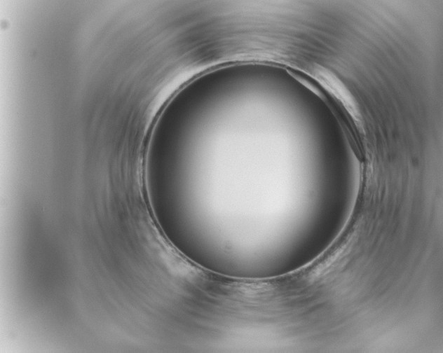 X0000088581340200706011103