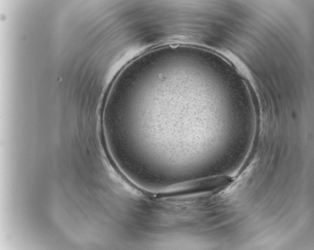 X0000088581341200706011103