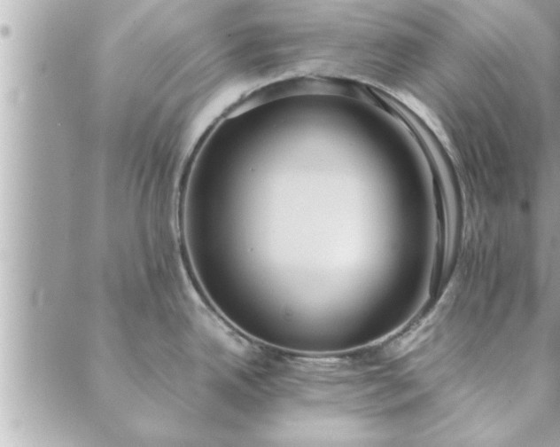 X0000088581342200706011103