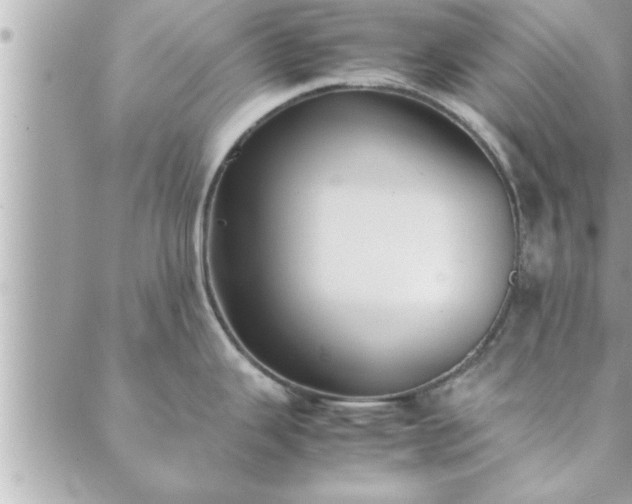 X0000088581343200706011103