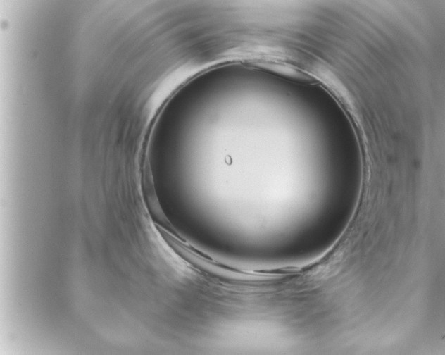 X0000088581344200706011103