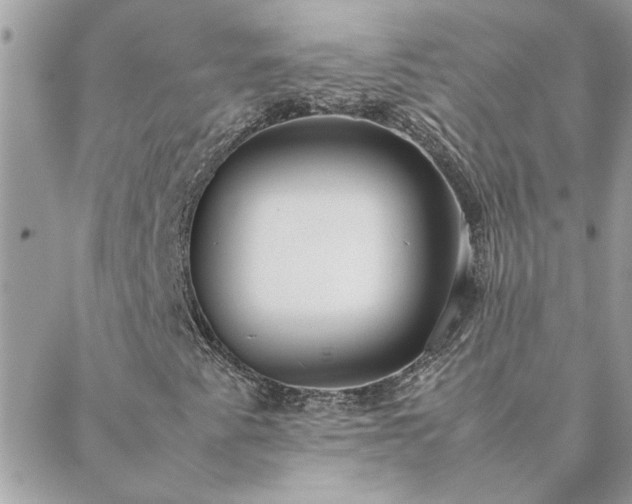 X0000088581345200706011102