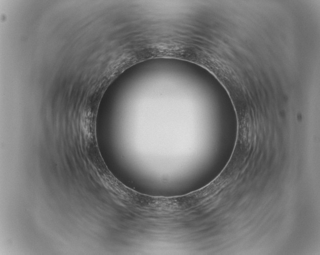 X0000088581346200706011102