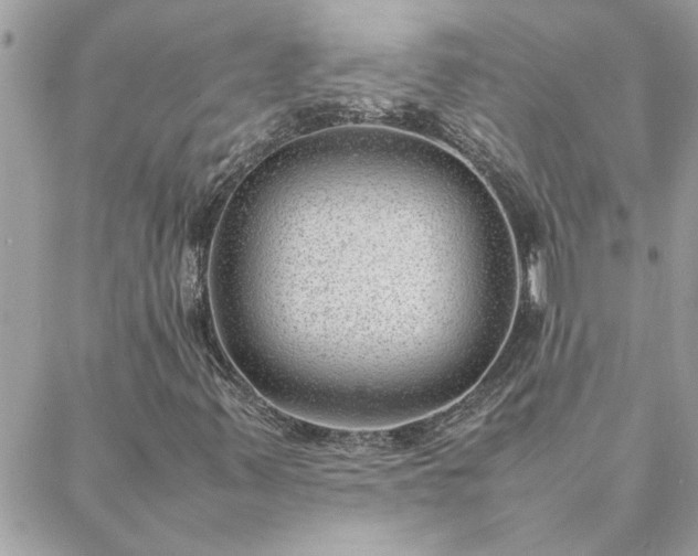 X0000088581347200706011102