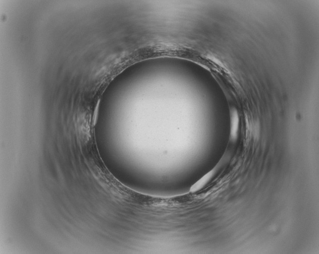 X0000088581348200706011102