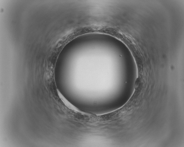 X0000088581349200706011102