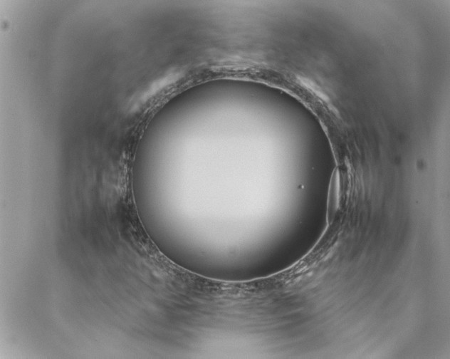 X0000088581350200706011102