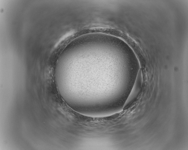 X0000088581351200706011102