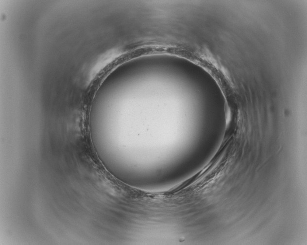 X0000088581352200706011102