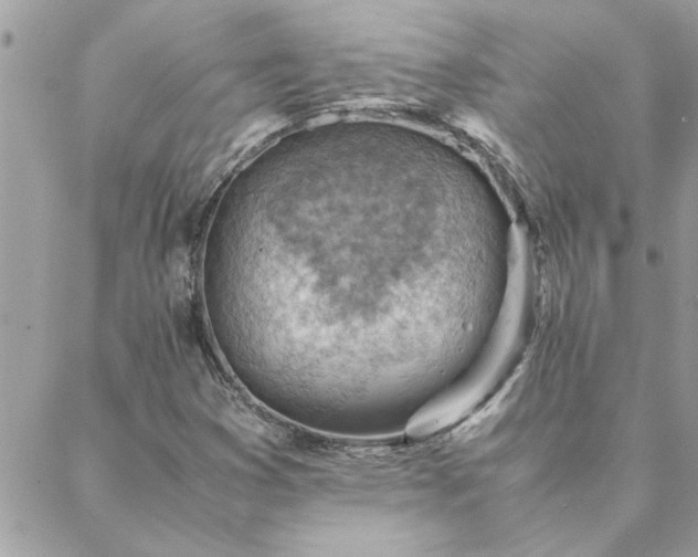 X0000088581353200706011102