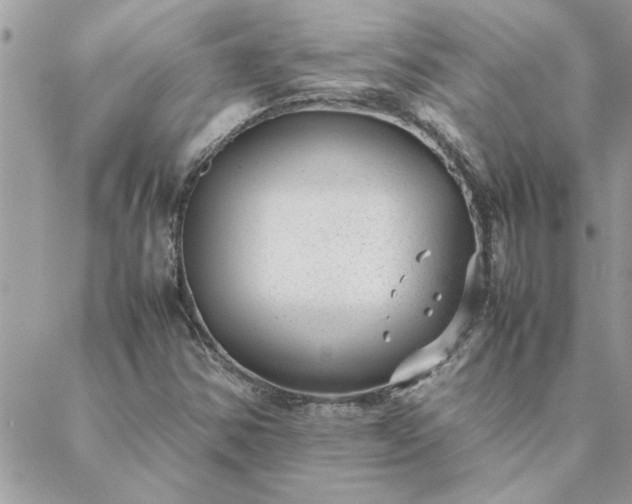 X0000088581354200706011102