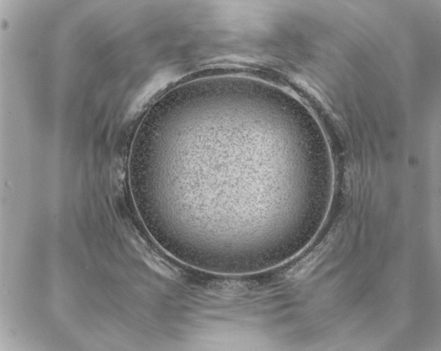 X0000088581355200706011102