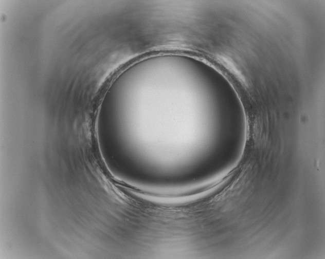 X0000088581356200706011102