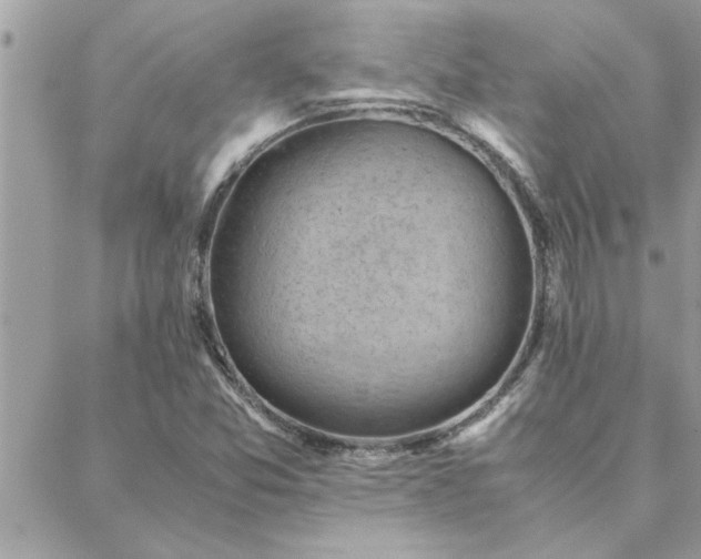 X0000088581357200706011102