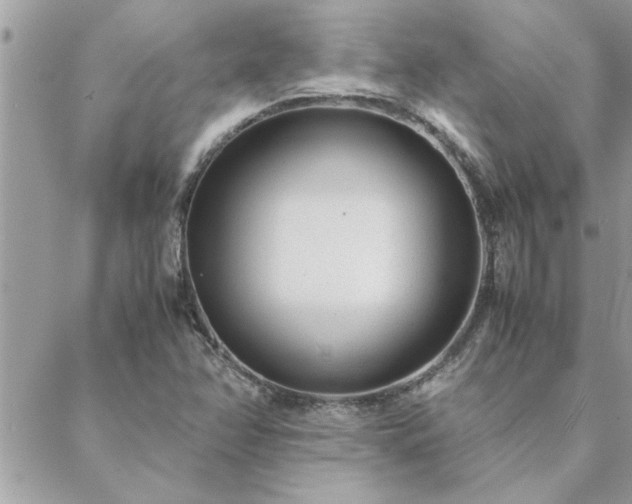 X0000088581358200706011102