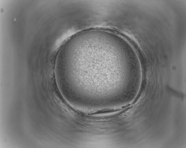 X0000088581359200706011102