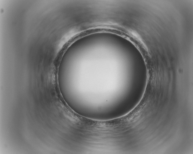 X0000088581360200706011102