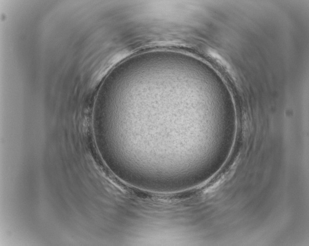 X0000088581361200706011102